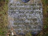 image of grave number 919745